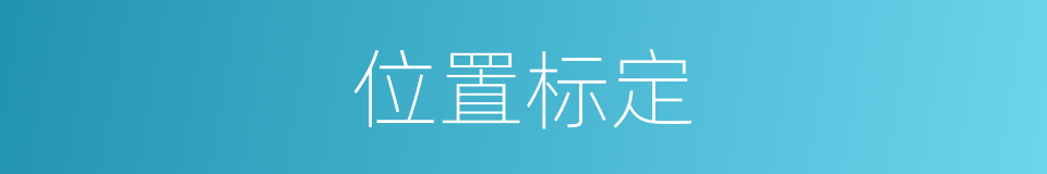 位置标定的同义词