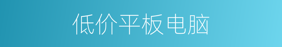 低价平板电脑的同义词