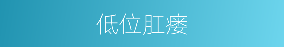 低位肛瘘的同义词