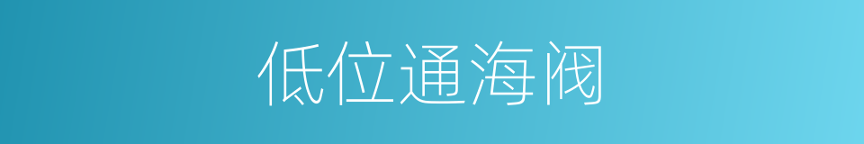 低位通海阀的同义词