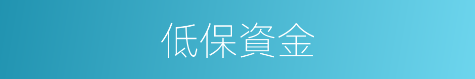 低保資金的同義詞