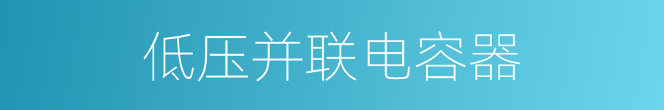 低压并联电容器的同义词