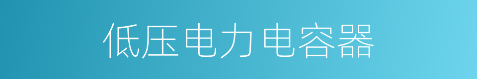 低压电力电容器的同义词