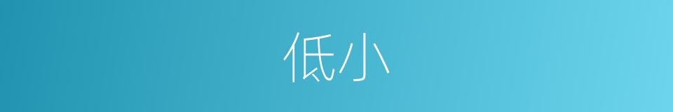 低小的意思