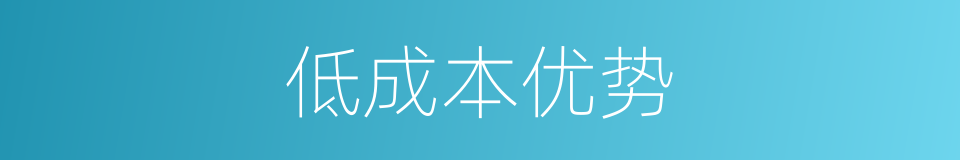 低成本优势的同义词