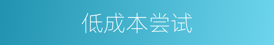 低成本尝试的意思