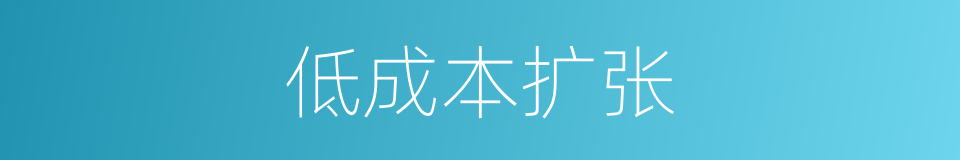 低成本扩张的同义词