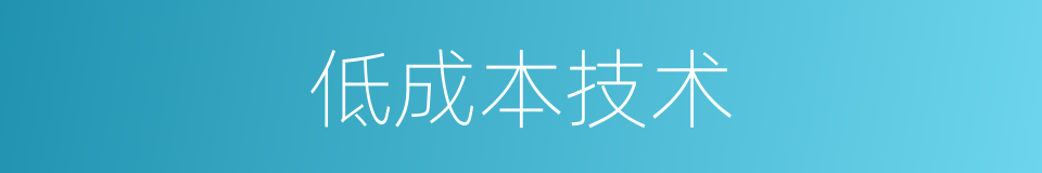 低成本技术的同义词