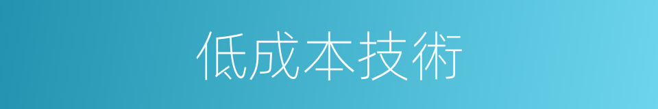 低成本技術的同義詞