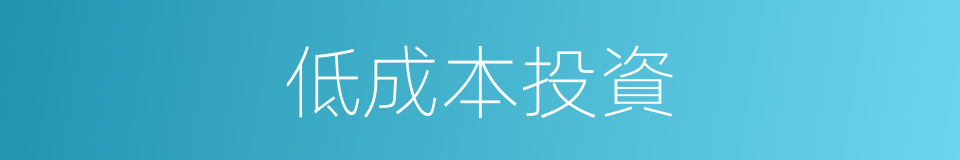 低成本投資的同義詞