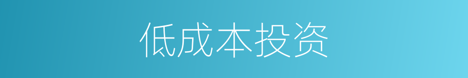 低成本投资的同义词