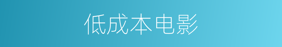 低成本电影的同义词