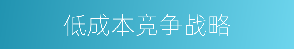 低成本竞争战略的同义词