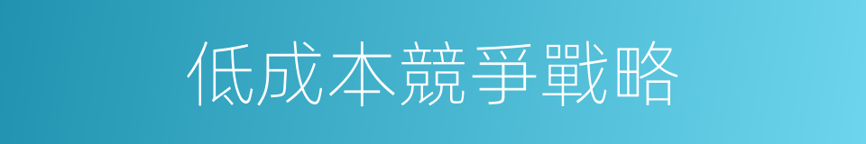 低成本競爭戰略的同義詞