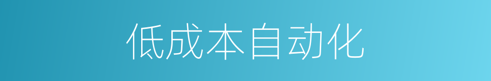 低成本自动化的同义词