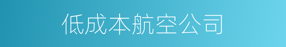 低成本航空公司的同义词