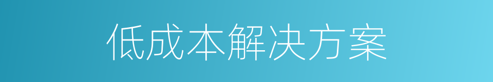 低成本解决方案的同义词