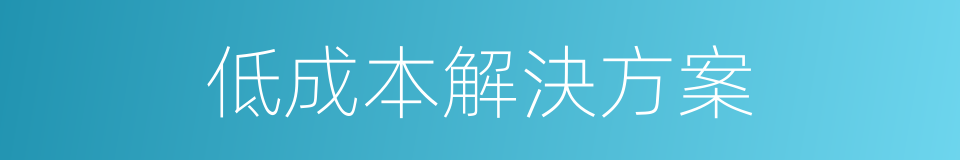 低成本解決方案的同義詞