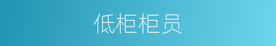 低柜柜员的同义词