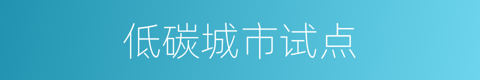 低碳城市试点的同义词