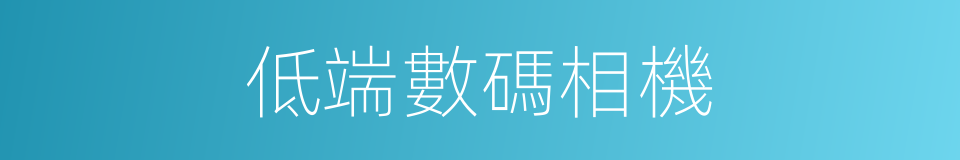 低端數碼相機的同義詞
