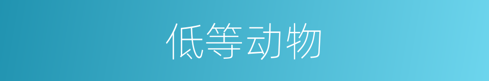 低等动物的意思