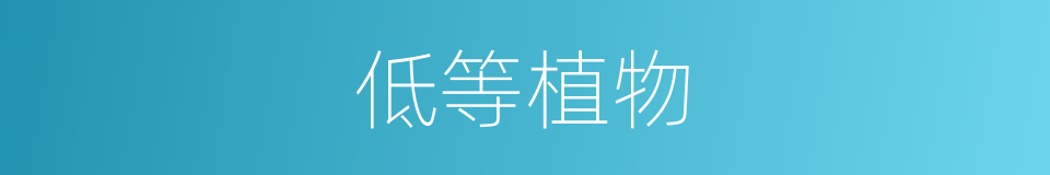 低等植物的意思