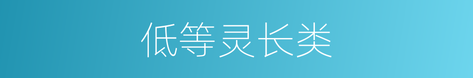 低等灵长类的同义词