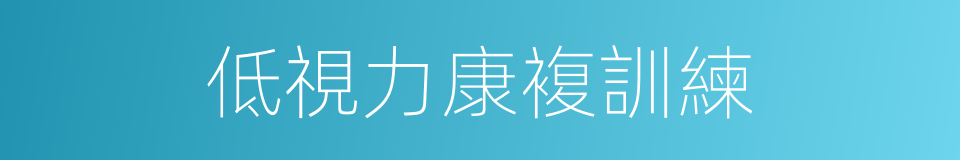 低視力康複訓練的同義詞