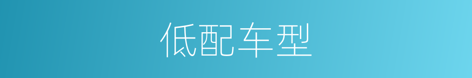 低配车型的同义词