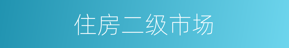 住房二级市场的同义词