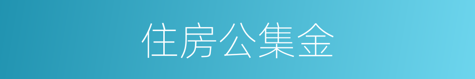 住房公集金的同义词