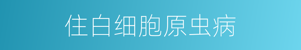 住白细胞原虫病的同义词