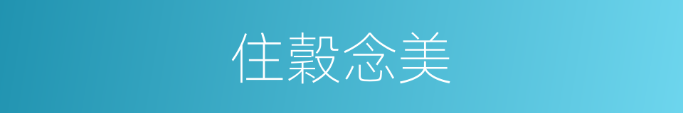 住穀念美的同義詞