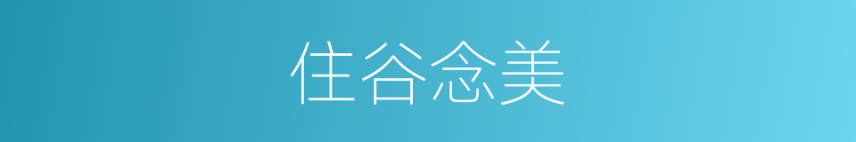 住谷念美的同义词