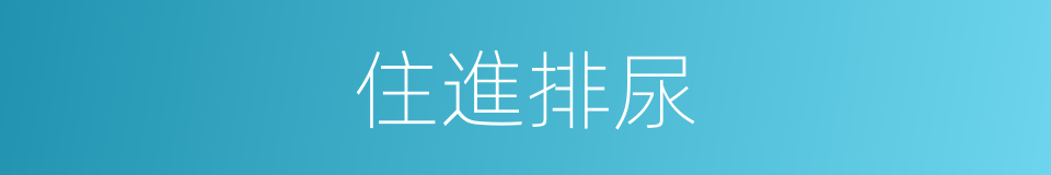 住進排尿的同義詞