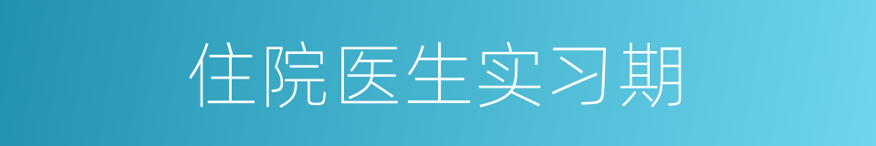 住院医生实习期的同义词