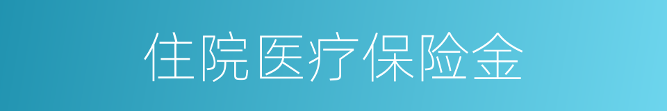 住院医疗保险金的同义词