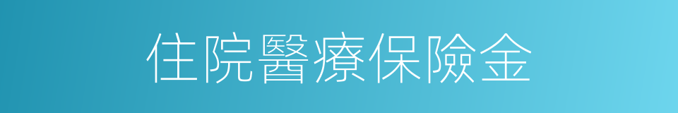 住院醫療保險金的同義詞