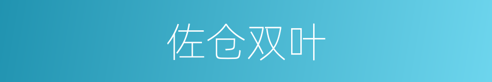 佐仓双叶的同义词