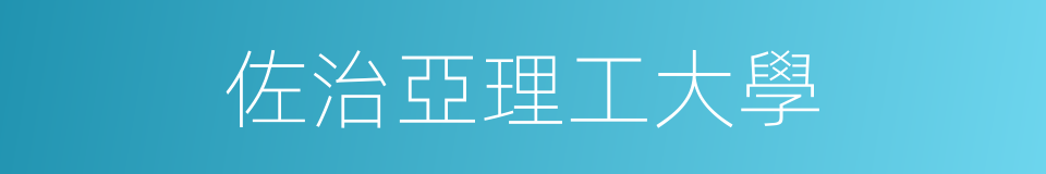 佐治亞理工大學的同義詞