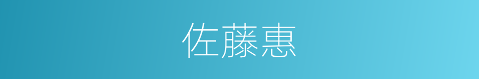 佐藤惠的同义词
