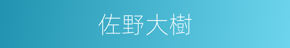 佐野大樹的同義詞