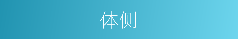 体侧的同义词