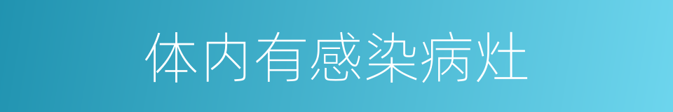 体内有感染病灶的同义词