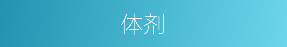 体剂的同义词