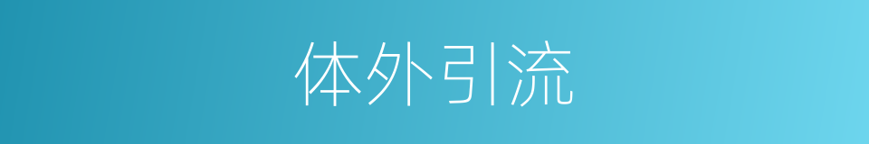体外引流的同义词
