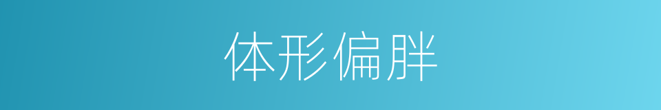 体形偏胖的同义词