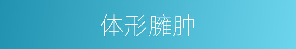 体形臃肿的同义词
