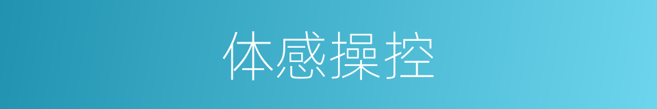 体感操控的同义词